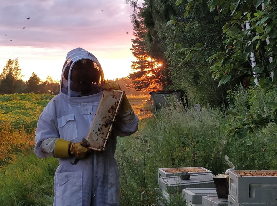 Pajulan Mehiläistarhat: Yritystarina